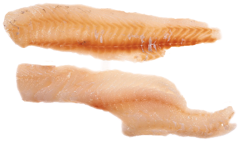 Haddock